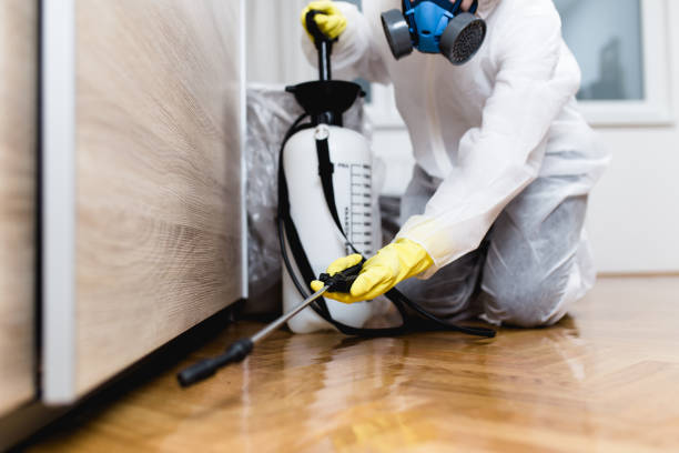 Best Pest Prevention Services  in Kissee Mills, MO